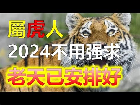 屬虎顏色2023|【屬虎顏色2023】跟著做運勢 